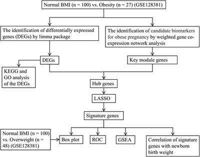 A combination analysis based on bioinformatics tools reveals new signature genes related to maternal obesity and fetal programming